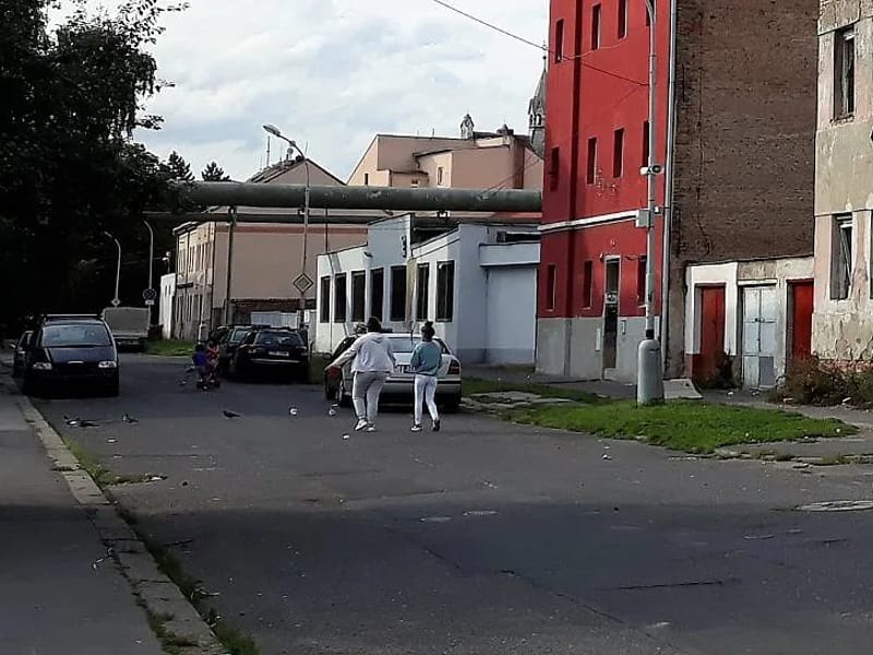 Centrum denních služeb Bezručova (CDS Bezručova) - Pečovatelská služba in Ústí Nad Labem, Ústecký kraj photo 1