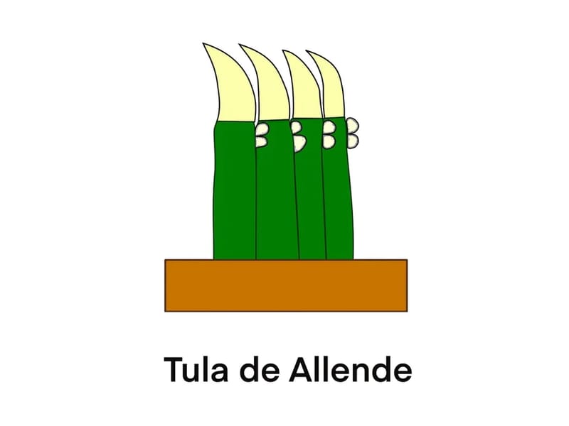 CENTRO GERONTOLOGICO INTEGRAL DE TULA DE ALLENDE - Vida Asistida in Tula De Allende, Hidalgo photo 1