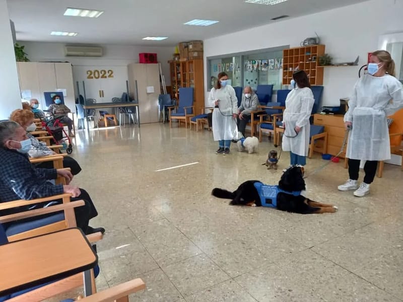 Centre de dia Baells - Centro de Día in Sabadell, Cataluña photo 1