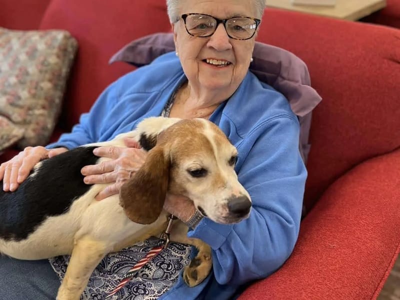 Aloha Care Assisted Living - Assisted Living in Brighton, CO photo 2