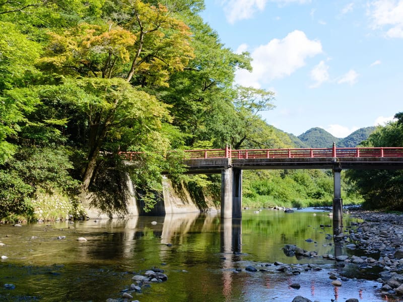 せせらぎ - 有料老人ホーム in 井原市, 岡山県 photo 3