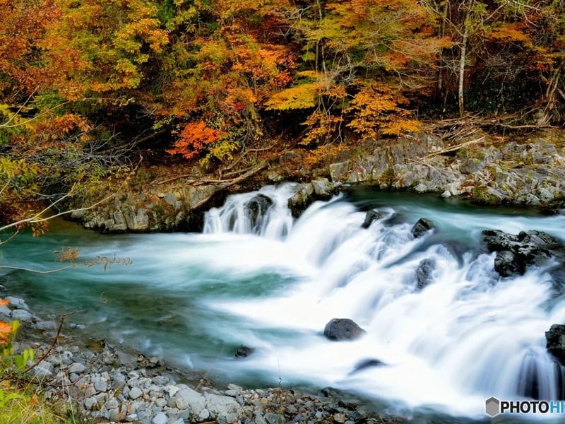 せせらぎ - 有料老人ホーム in 井原市, 岡山県 photo 2