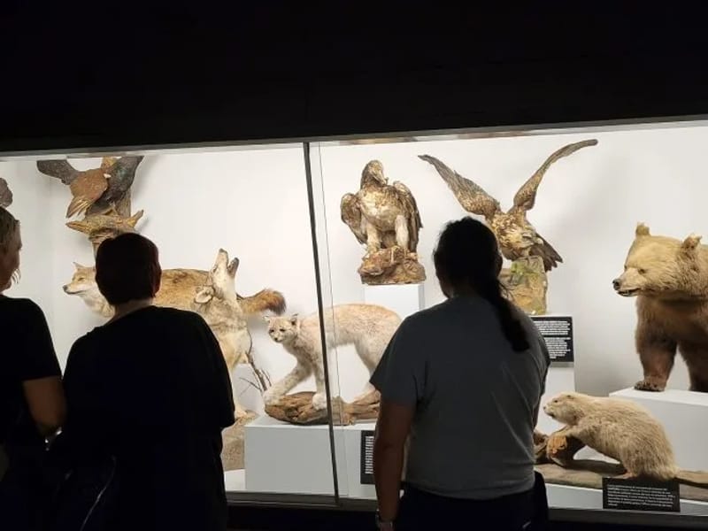 Fondation Achille Alexandre - EPSM Les Oiseaux - Betreutes Wohnen in Lausanne, Vaud photo 2