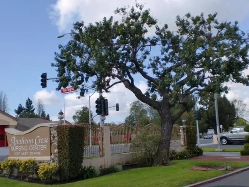 Anaheim Crest Nursing Center - Nursing Home in Anaheim, CA photo 2