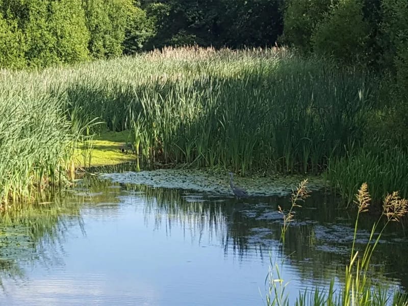 Chinite Home Care - In-Home Care in Barking, England photo 1