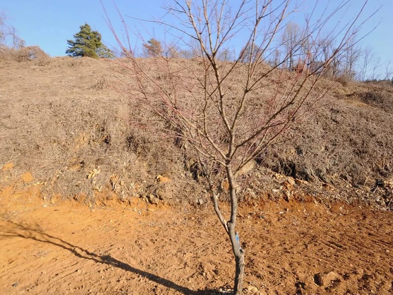 밝은빛재가복지센터 - 방문요양 in 동구, 부산광역시 photo 2