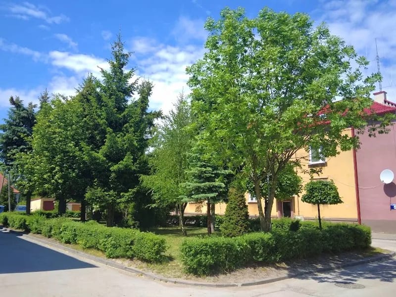 Powiat Buski - Dom pomocy społecznej in Busko-Zdrój, Busko-Zdrój photo 2
