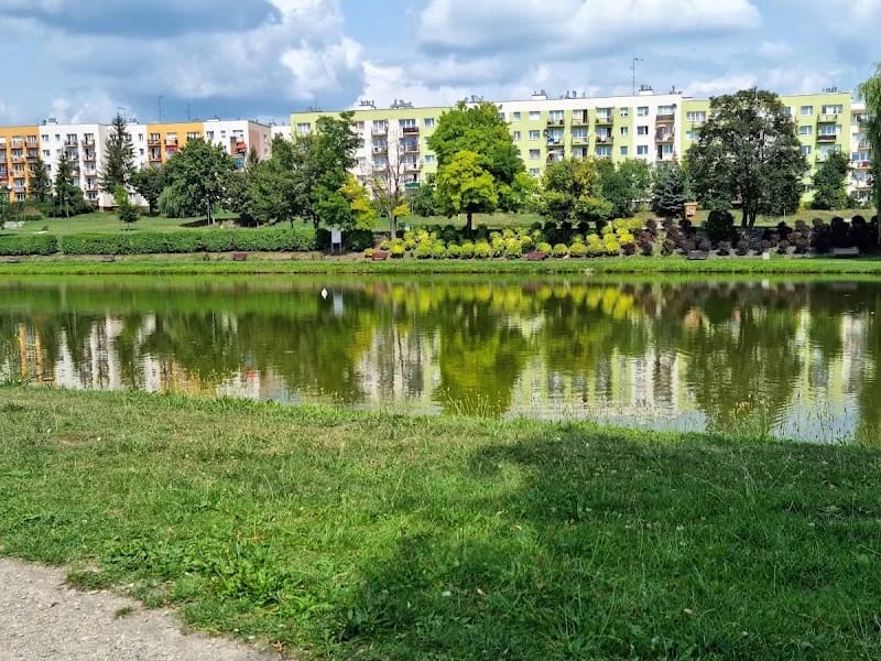 Powiat Buski - Dom pomocy społecznej in Busko-Zdrój, Busko-Zdrój photo 7