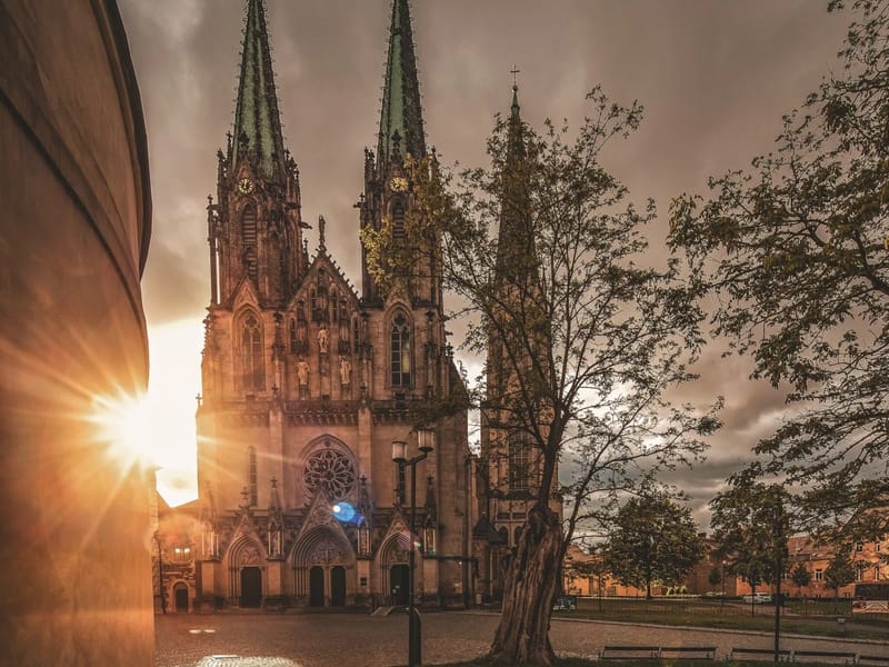 denní stacionáře (3759547) - Denní stacionář in Olomouc, Olomoucký kraj photo 1