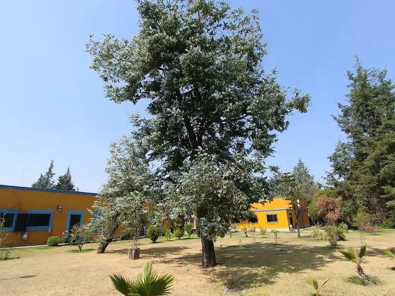 CASA DE DESCANSO CONCEPCION CABRERA DE ARMIDA - Hogar de Ancianos in San Andrés Cholula, Puebla photo 4