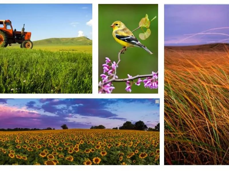 Alexian Brothers Home Health - Home Health Nursing in Hanover Park, IL photo 2