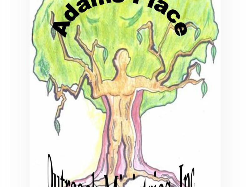 Adams Place LLC - Home Health Nursing in Lakeville, MN photo 1