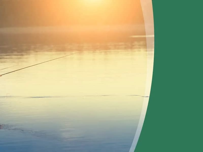 Fireweed Health Care INC — Home Health Nursing, Anchorage, AK · photo 3