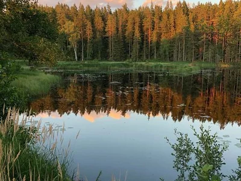 Saxlyckan - Äldreboende in Karlskoga, Örebro län photo 2