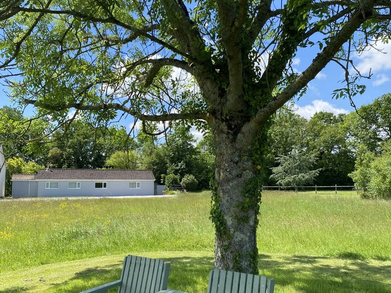 Devon Lodge in Southampton, England photo 3