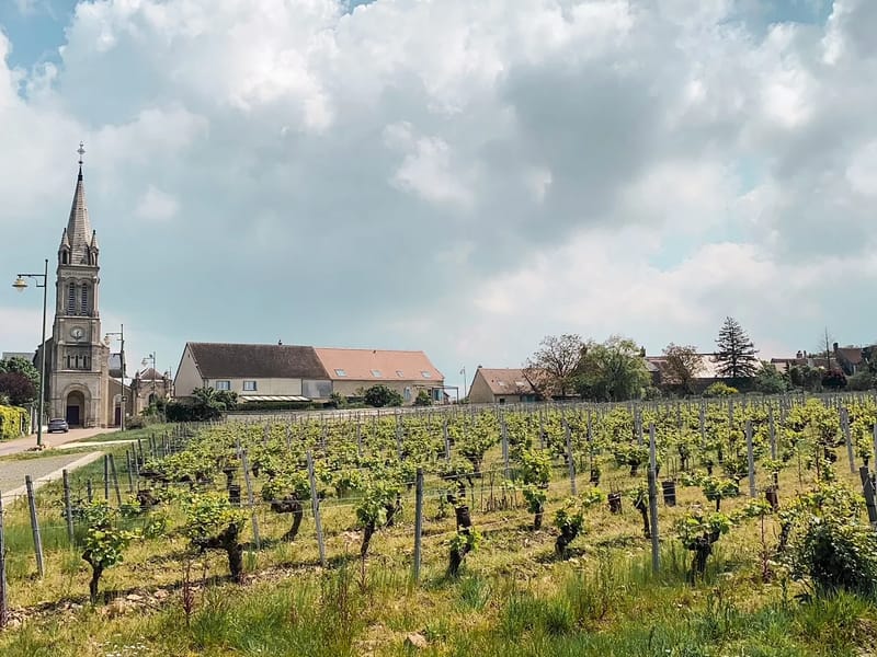 Ssiad De Pouilly - Soins Infirmiers à Domicile in POUILLY SUR LOIRE, Bourgogne-Franche-Comté photo 2