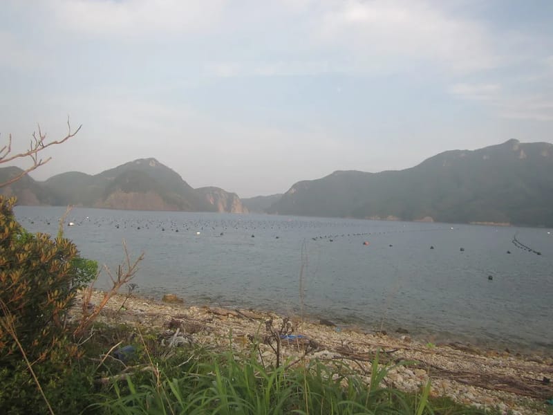 Tsunagune - 有料老人ホーム in 明石市, 兵庫県 photo 2