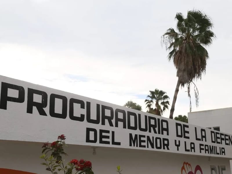 DIRECCION DE PROCURADURIA DE LA DEFENSA DE ADOLESCENTES Y ADULTOS MAYORES - Vida Asistida in Lerdo, Durango photo 3