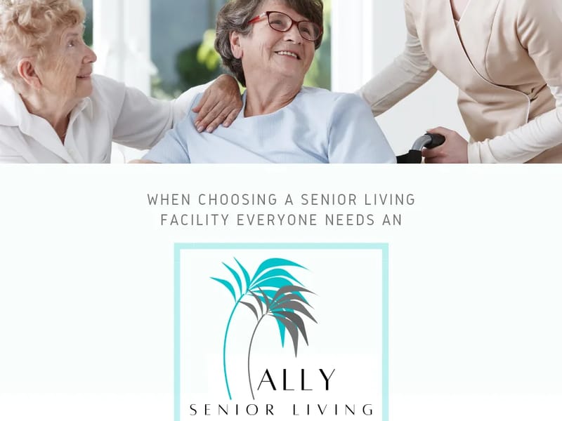 Ally Care LLC - Home Health Nursing in Saint Paul, MN photo 1