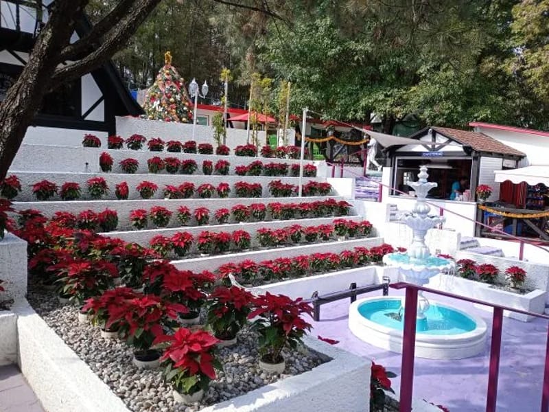 Casa Club De Adultos Mayores Dulce Amanecer - Vida Asistida in Coacalco De Berriozábal, Estado de México photo 2