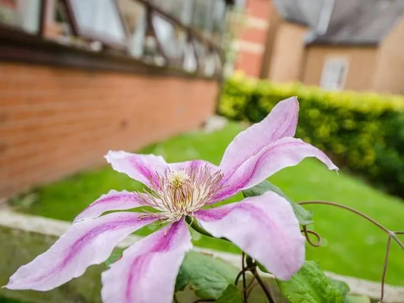 Red Brick House - Assisted Living in Prudhoe, England photo 3