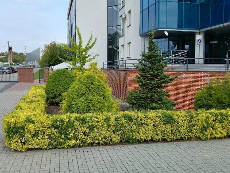 Śląski Uniwersytet Medyczny w Katowicach - Dom pomocy społecznej in Katowice, Katowice photo 7
