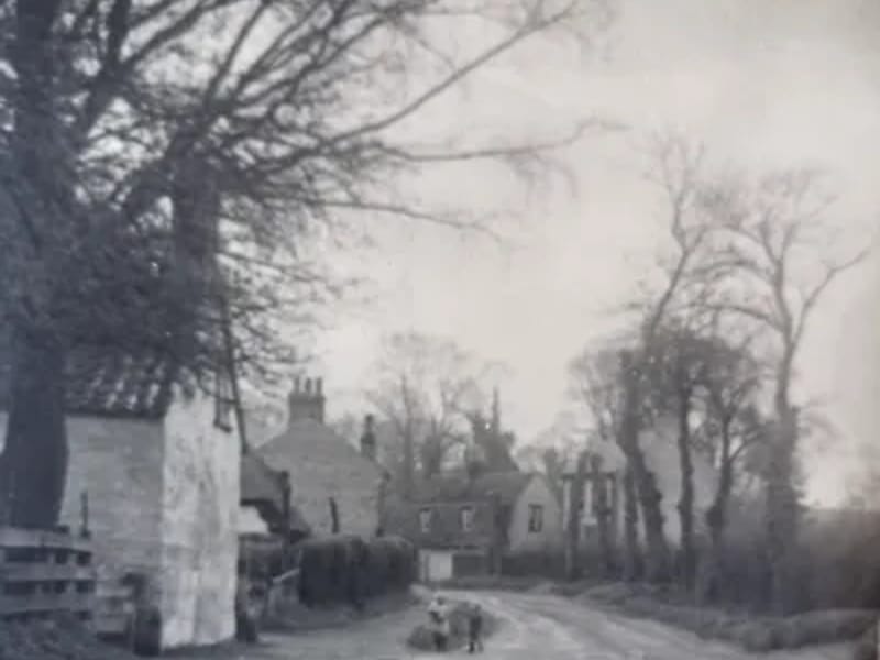 Cherry Hinton Nursing Home - Nursing Home in Cambridge, England photo 1