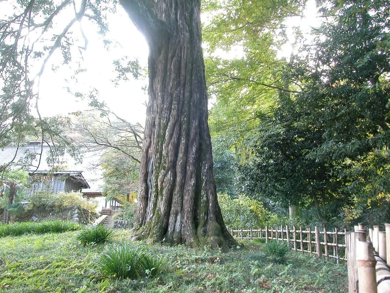 かやの木 - 有料老人ホーム in 富岡市, 群馬県 photo 3