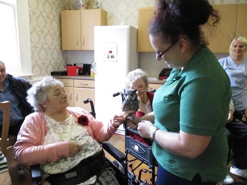Alpine Lodge - Nursing Home in Sheffield, England photo 4