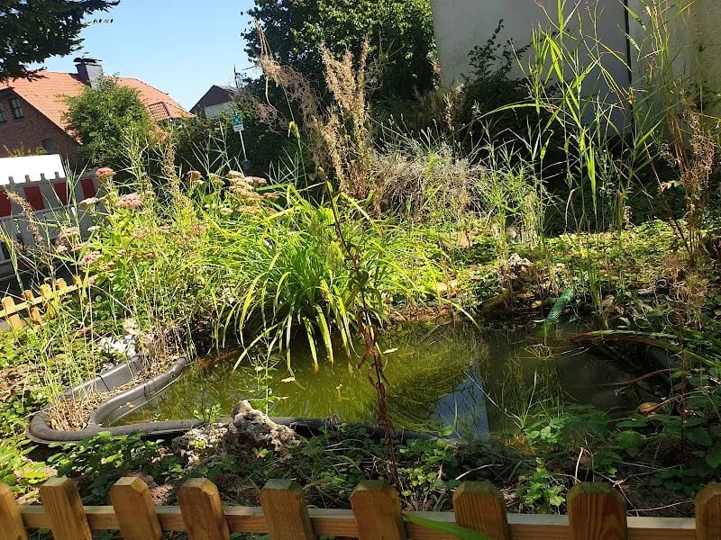 DRK Seniorenzentrum Moosheide - Pflegeheim in Willich, Nordrhein-Westfalen photo 3