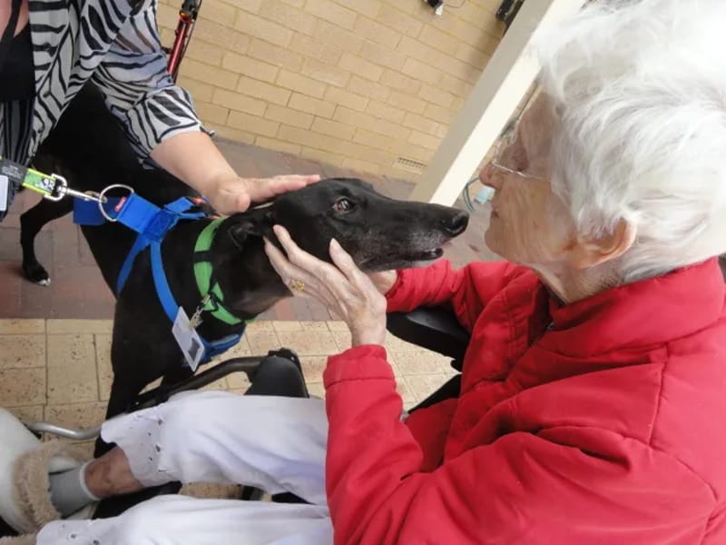 Juniper Annesley - Nursing Home in Bentley, WA photo 8