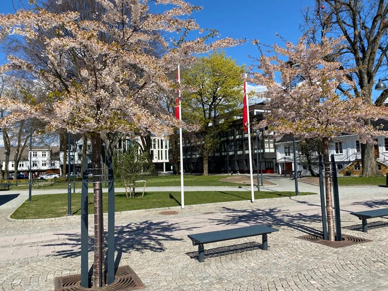 Parkgården A-B - Serviceboende in Håbo, Uppsala län photo 3