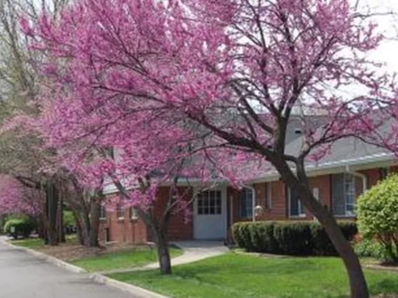 Bluesky Integrated Healthcare Services LLC - Home Health Nursing in Indianapolis, IN photo 4