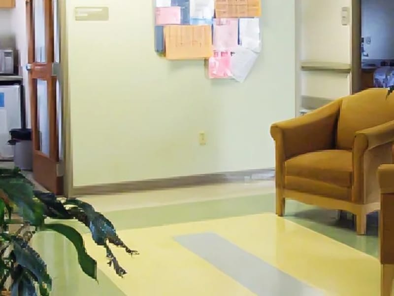Alamo Nursing Home Inc - Nursing Home in Kalamazoo, MI photo 1
