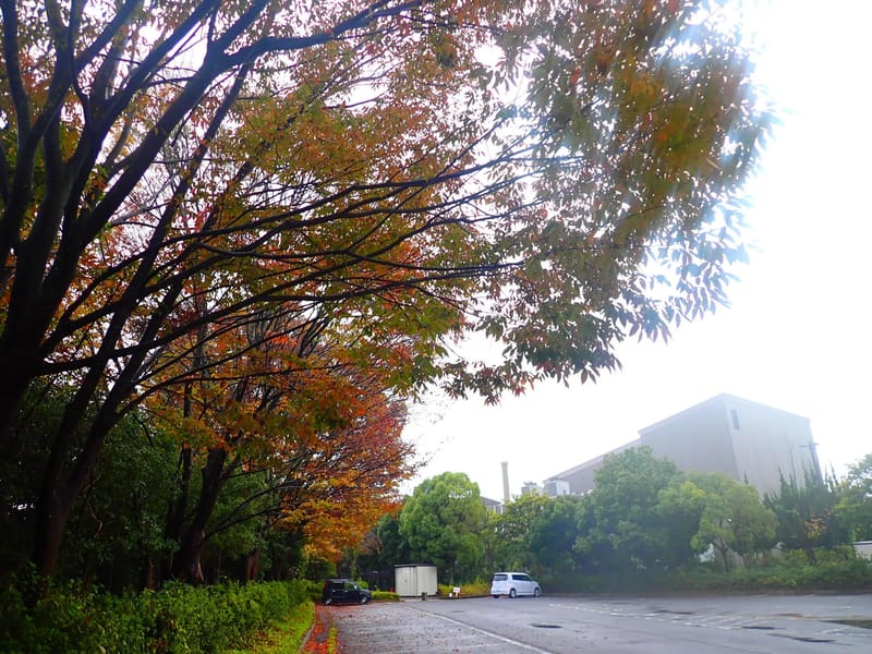 グリーンライフ栗橋 - 有料老人ホーム in 久喜市, 埼玉県 photo 1