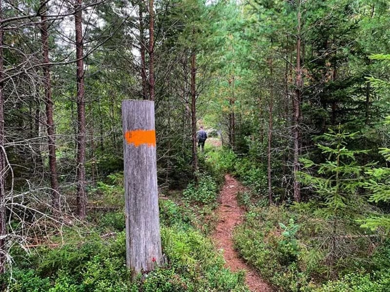 Lövåsen - Äldreboende in Hallstahammar, Västmanlands län photo 2