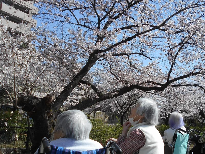 あずみ苑守山 - 有料老人ホーム in 名古屋市守山区, 愛知県 photo 1