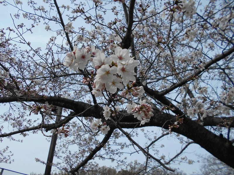 あずみ苑守山 - 有料老人ホーム in 名古屋市守山区, 愛知県 photo 2