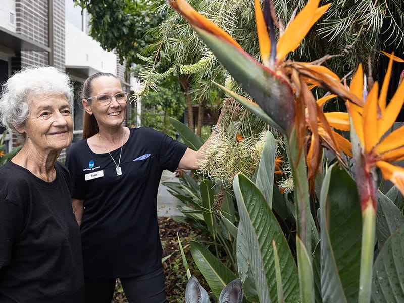 Springwood Terrace Care Community - Nursing Home in Springwood, QLD photo 3
