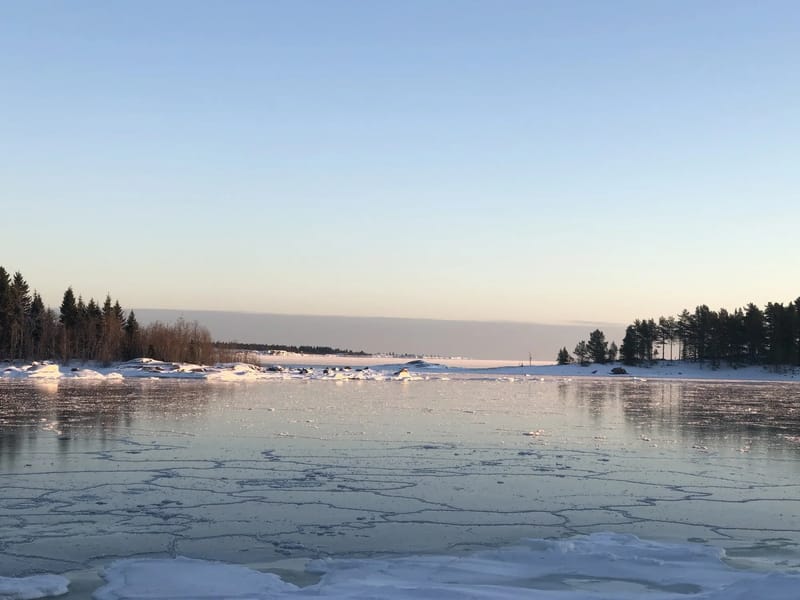 Ånäset hemtjänst - Hemtjänst in Robertsfors, Västerbottens län photo 2