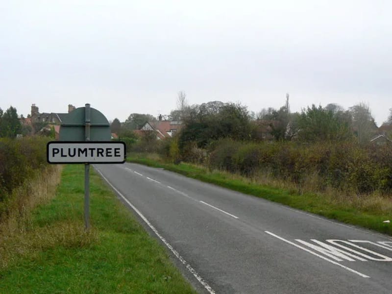 Plumtree - In-Home Care in Dudley, England photo 3