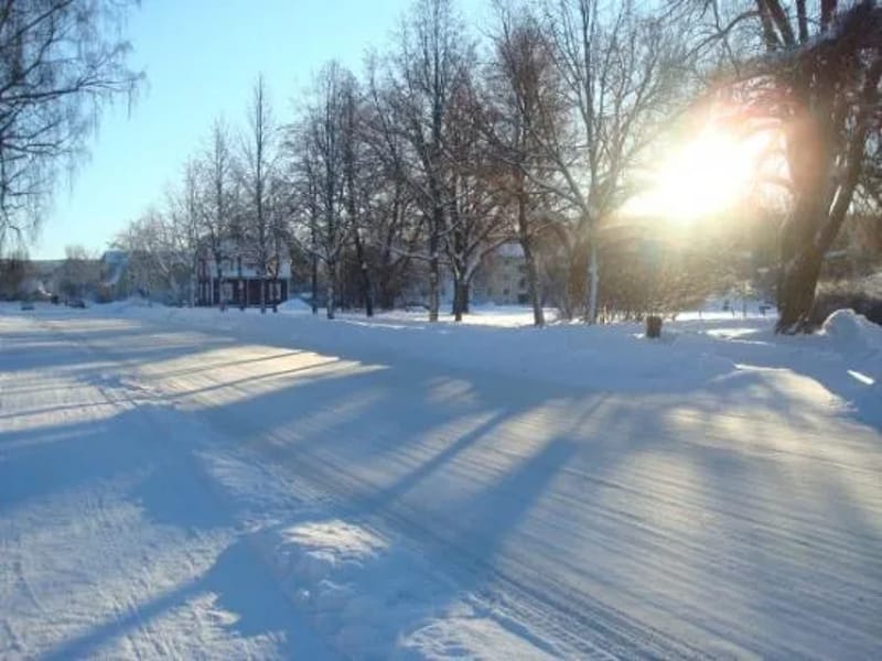 Skogen - Serviceboende in Ludvika, Dalarnas län photo 1