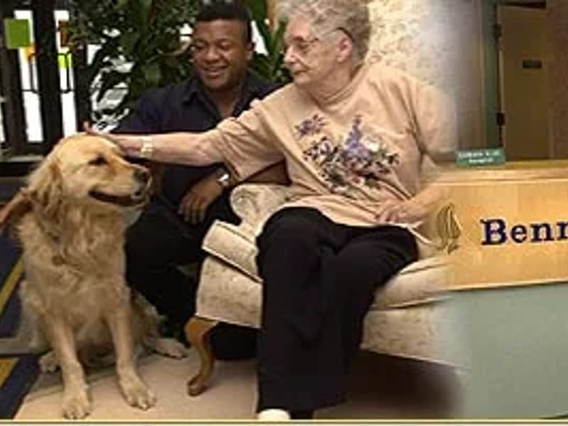 Bennett Healthcare Ltd in Nottingham, England photo 2