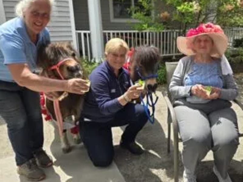 Cornerstone Adult Services, Inc.: Bristol Center - Adult Day Care in Bristol, RI photo 2