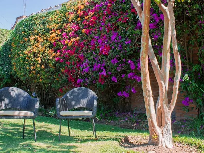 CASA DE REPOSO CASA VIVANTE - Vida Asistida in Morelia, Michoacán photo 6