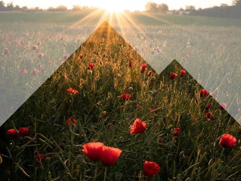 Allelon Hospice and Palliative Care - Hospice in Pueblo, CO photo 1