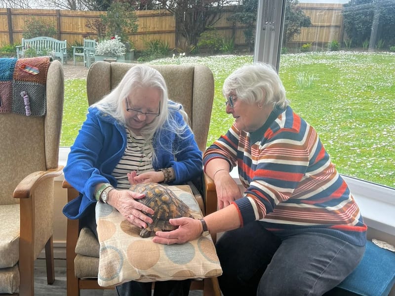 SeeAbility Fairways Residential Care Home - Assisted Living in Aldershot, England photo 3