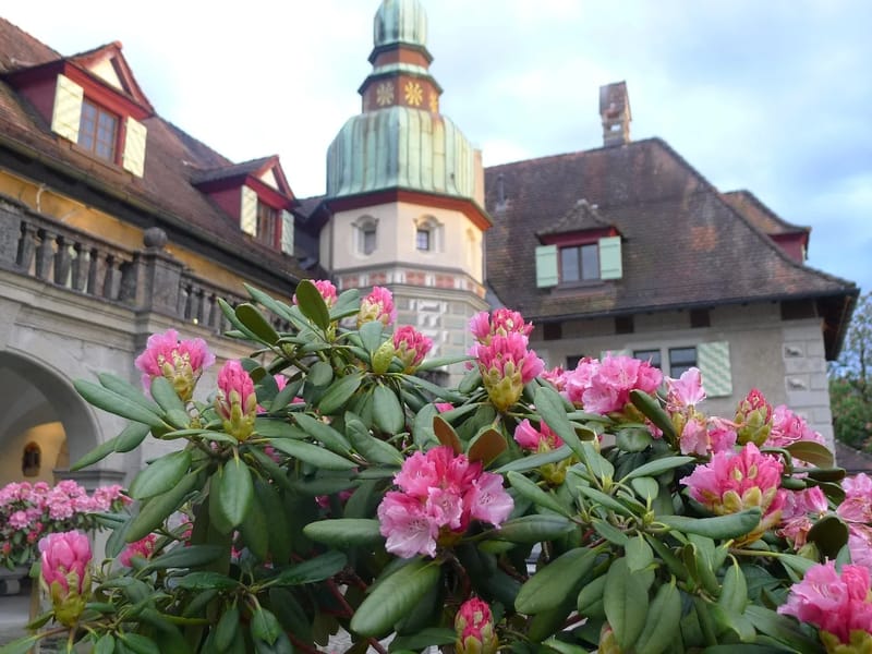 Alters- und Pflegeheim Hof Riedern - Pflegeheim in St. Gallen, St. Gallen photo 2