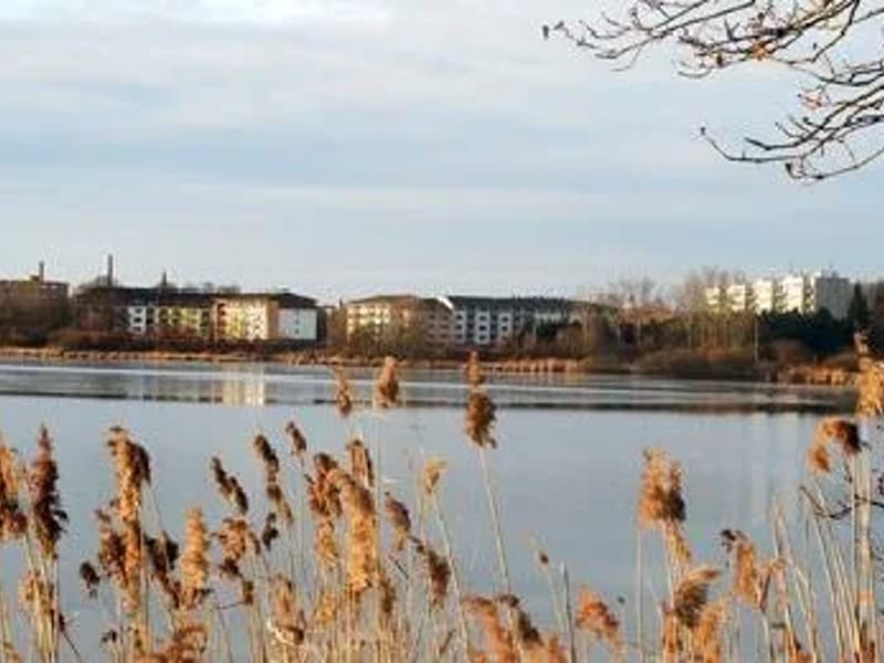 Zliv - Denní stacionář in České Budějovice, Jihočeský kraj photo 2