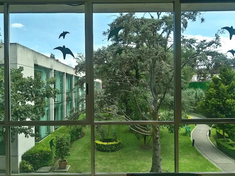 ASOCIACION DE AYUDA SOCIAL DE LA COMUNIDAD ALEMANA - Vida Asistida in Xochimilco, Ciudad de México photo 5